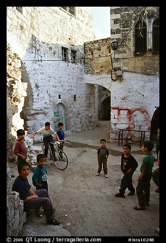 Group of children in old street, Hebron. West Bank, Occupied Territories (Israel) (color)