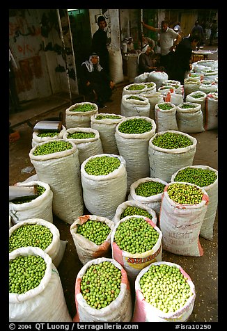 Freshly picked olives for sale, Hebron. West Bank, Occupied Territories (Israel)