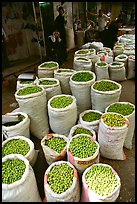 Freshly picked olives for sale, Hebron. West Bank, Occupied Territories (Israel) (color)