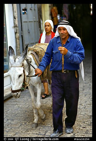 Arab man leading a donkey, Hebron. West Bank, Occupied Territories (Israel) (color)