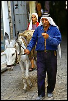 Arab man leading a donkey, Hebron. West Bank, Occupied Territories (Israel) (color)