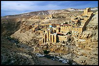 Mar Saba Monastery seen across the Kidron River. West Bank, Occupied Territories (Israel) (color)