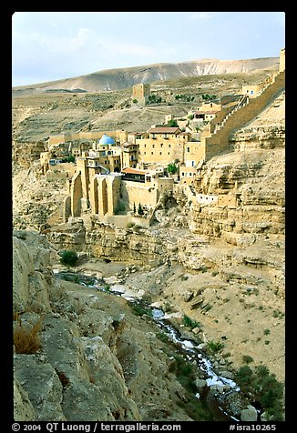 Mar Saba Monastery and steep Kidron River gorge. West Bank, Occupied Territories (Israel) (color)