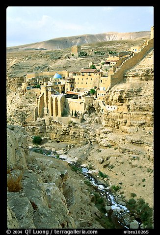 Mar Saba Monastery and steep Kidron River gorge. West Bank, Occupied Territories (Israel)