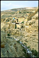 Mar Saba Monastery and steep Kidron River gorge. West Bank, Occupied Territories (Israel) (color)