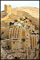 Fortified walls of the Mar Saba Monastery. West Bank, Occupied Territories (Israel) (color)