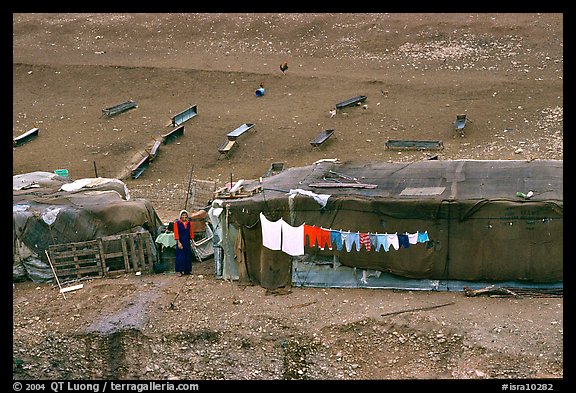 Bedouin camp, Judean Desert. West Bank, Occupied Territories (Israel) (color)