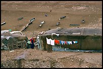 Bedouin camp, Judean Desert. West Bank, Occupied Territories (Israel)