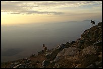 Ibex on the rim of Wadi Ruman (Maktesh Ramon) Crater, sunrise. Negev Desert, Israel