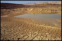 Cracked mud and shallow pond, near Mitzpe Ramon. Negev Desert, Israel (color)