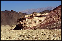 Cliff and mountains. Negev Desert, Israel ( color)