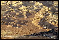 Desert and palm trees. Israel ( color)