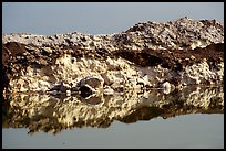 Salt formations reflected in the Dead Sea. Israel