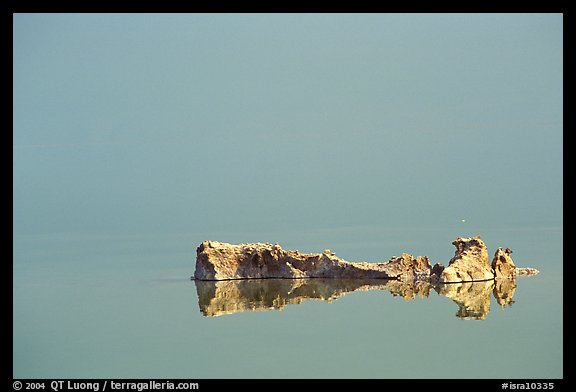 Salt formations reflected in the Dead Sea. Israel (color)