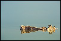 Salt formations reflected in the Dead Sea. Israel (color)