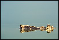 Salt formations reflected in the Dead Sea. Israel