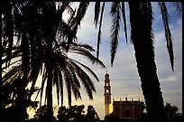 Palm tree and tower, Jaffa, Tel-Aviv. Israel ( color)