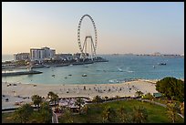 Beach and Ain Dubai Ferris Wheel. United Arab Emirates ( color)