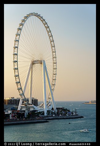 Ain Dubai Ferris Wheel, largest in the world. United Arab Emirates