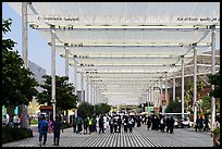 Walkway. Expo 2020, Dubai, United Arab Emirates ( color)