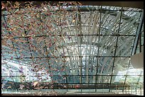 Looking out of the Sustainability Pavilion. Expo 2020, Dubai, United Arab Emirates ( color)