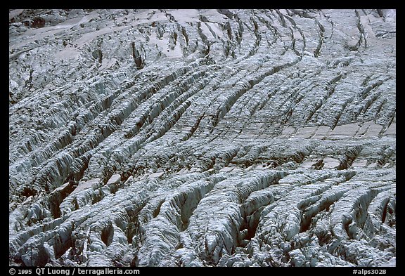 Continuous crevasse field on Mer de Glace. These are caused by irregularities of the ground on which the glacier moves. Alps, France