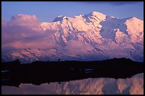 Mountain goats  in the Aiguilles Rouges and Mont-Blanc range at sunset, Alps, France.  ( color)