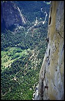 Valerio Folco and Tom McMillan on the crux pitch (second to last). El Capitan, Yosemite, California ( color)