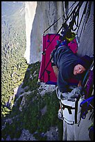 Looking for breakfast on the portaledge. El Capitan, Yosemite, California