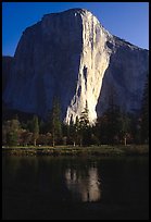 The Nose is the line between light and shadow in the center of El Cap. El Capitan, Yosemite, California ( color)