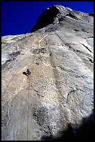 Jugging back to Sickle. Only 34 pitches to go !. El Capitan, Yosemite, California ( color)