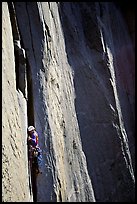 Like many, the pitch above Dolt Towe is crack climbing. El Capitan, Yosemite, California ( color)