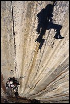 Cleaning the second pitch on the West Face. Leaning Tower, Yosemite, California (color)