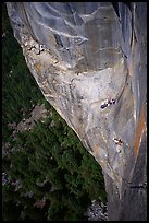 Waiting at Guano ledge. Leaning Tower, Yosemite, California