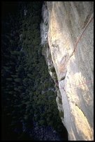The South Face: Frank on the nut pitch. Washington Column, Yosemite, California ( color)