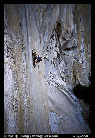 Party on the wall of early morning light, El Capitan. Yosemite, California (color)