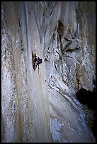 Party on the wall of early morning light, El Capitan. Yosemite, California (color)