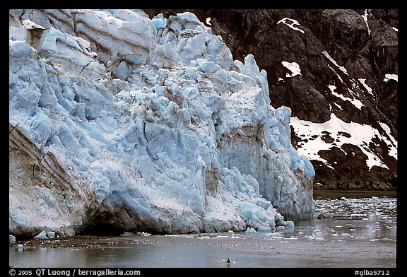 Kayaker dwarfed by Lamplugh Glacier. Glacier Bay National Park, Alaska (color)