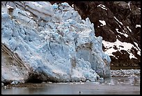 Kayaker dwarfed by Lamplugh Glacier. Glacier Bay National Park, Alaska (color)