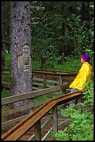 Hiker looking at a tree carved by native Tlingit indians, Bartlett Cove. Glacier Bay National Park, Alaska (color)