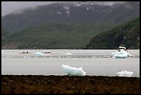 Taxi boat, kayaks, and icebergs near McBride Glacier. Glacier Bay National Park, Alaska