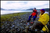 Diner close to Adams Inlet. Glacier Bay National Park, Alaska ( color)