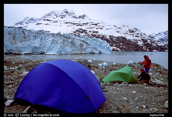 Campers set-up a tent in front of Lamplugh Glacier. Glacier Bay National Park, Alaska (color)