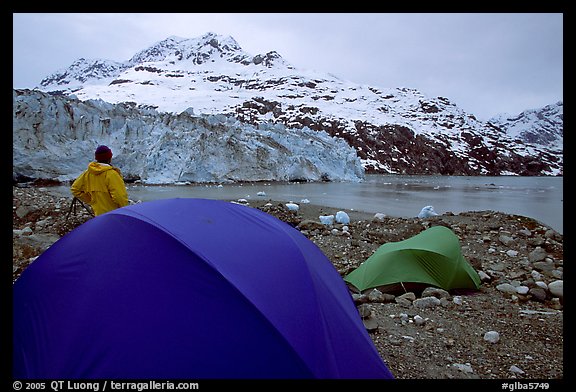 Park visitor looking, camp in front of Lamplugh Glacier. Glacier Bay National Park, Alaska