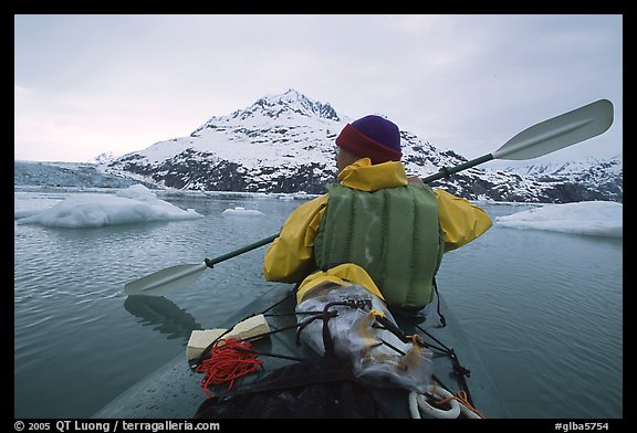 Kayaker paddling amongst icebergs near John Hopkins Inlet. Glacier Bay National Park, Alaska (color)