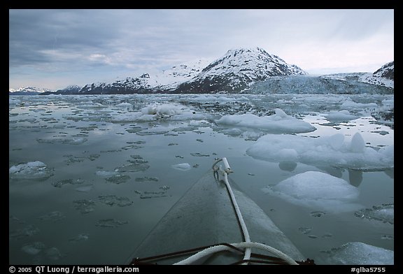 Kayak's prow, floating icebergs, and glacier. Glacier Bay National Park, Alaska (color)