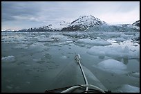 Kayak's prow, floating icebergs, and glacier. Glacier Bay National Park, Alaska