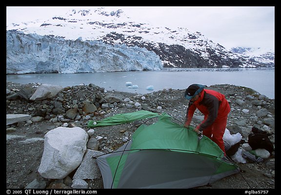 Setting up a tent in front of Lamplugh Glacier. Glacier Bay National Park, Alaska (color)