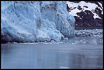 Kayaker dwarfed by the front of Lamplugh Glacier. Glacier Bay National Park, Alaska