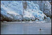 Kayaker at the base  of Lamplugh Glacier. Glacier Bay National Park, Alaska ( color)